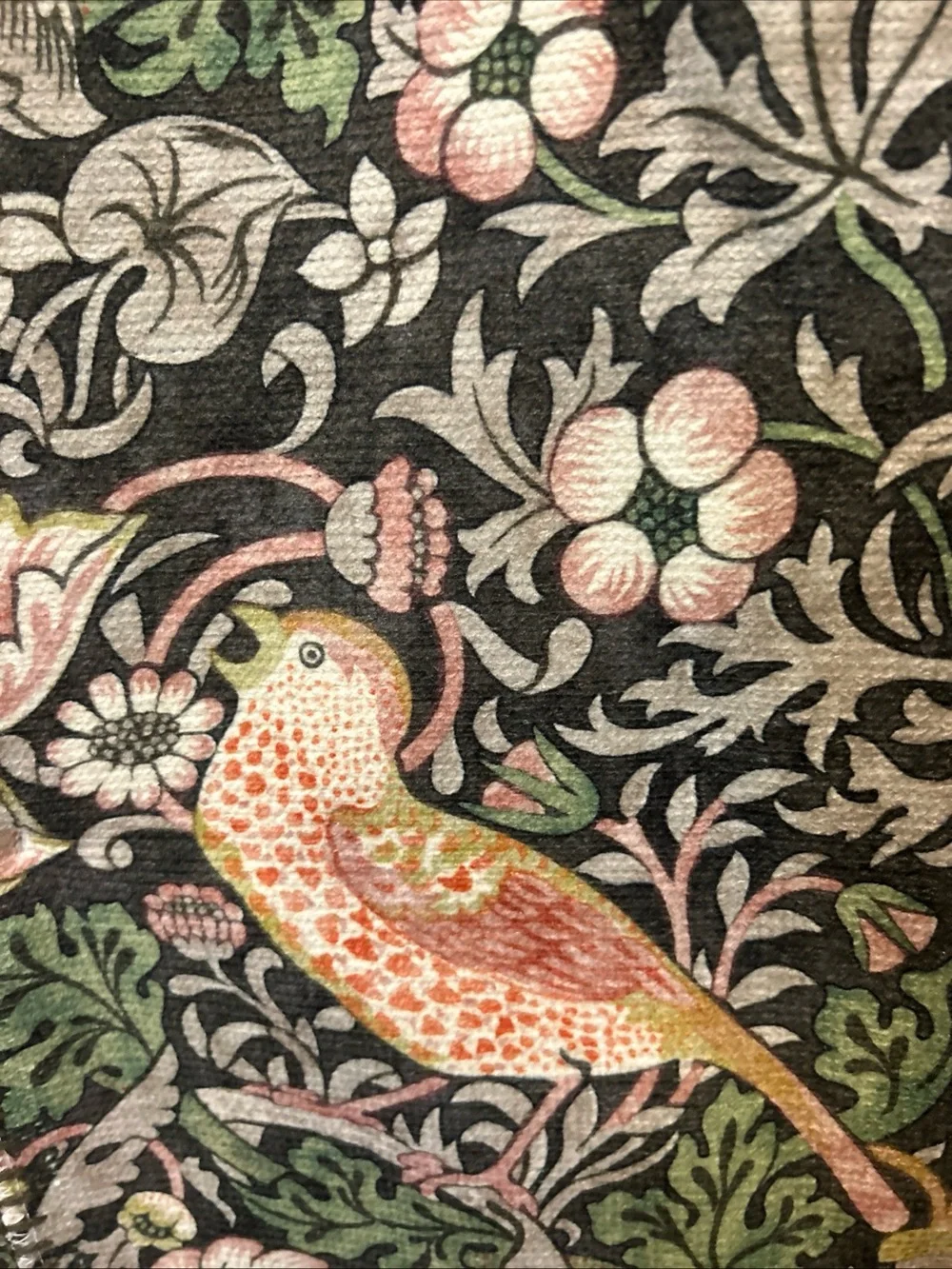 MORRIS & CO Strawberry Thief Floral Print Chenille Throw Blanket 50x70 Chocolate